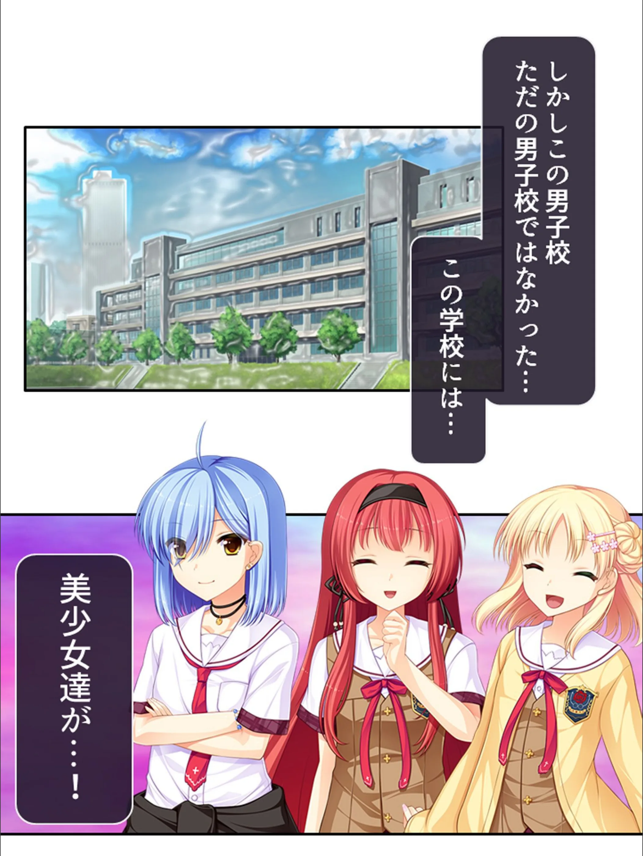 サンプル 4