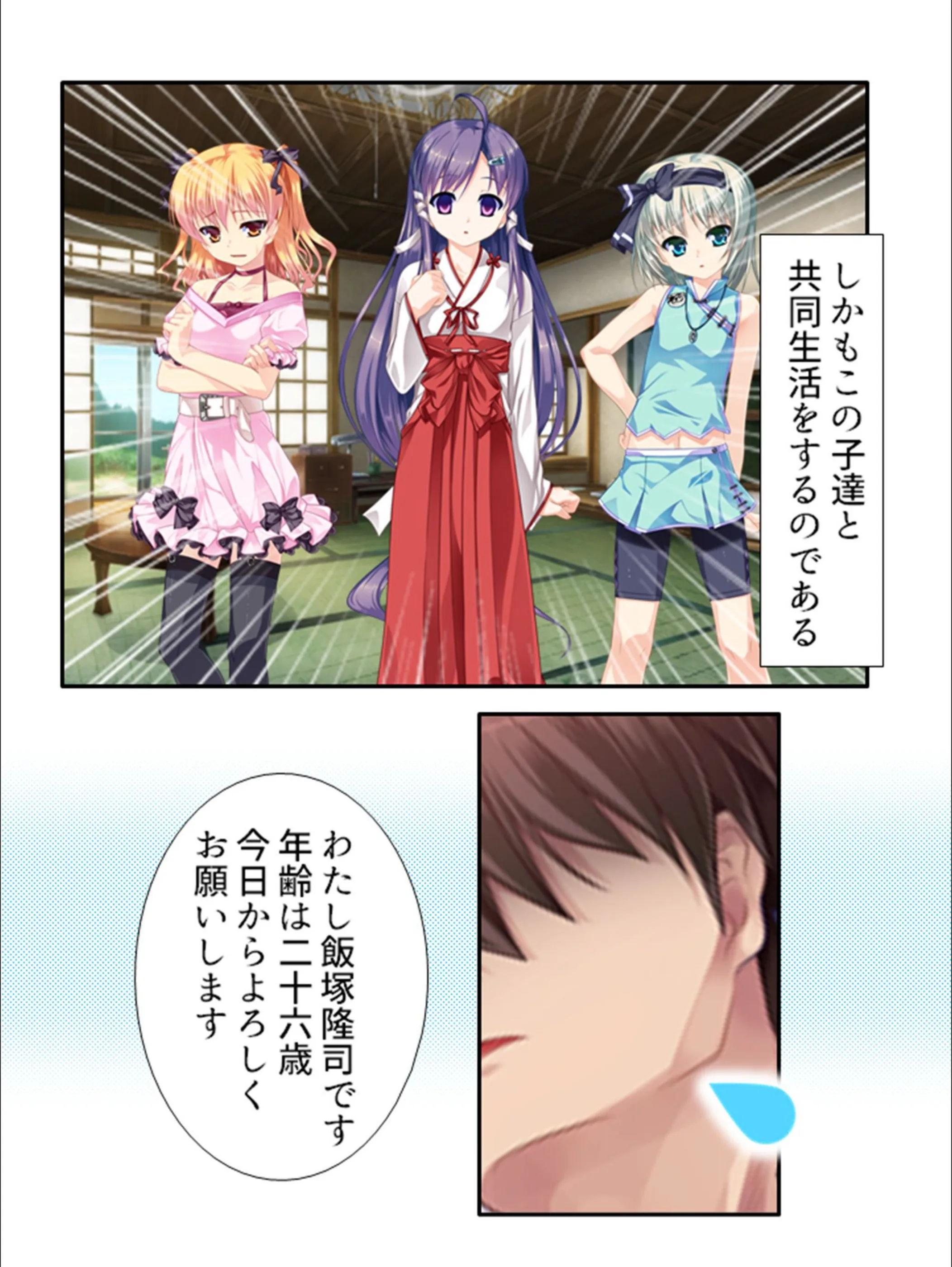 サンプル 5