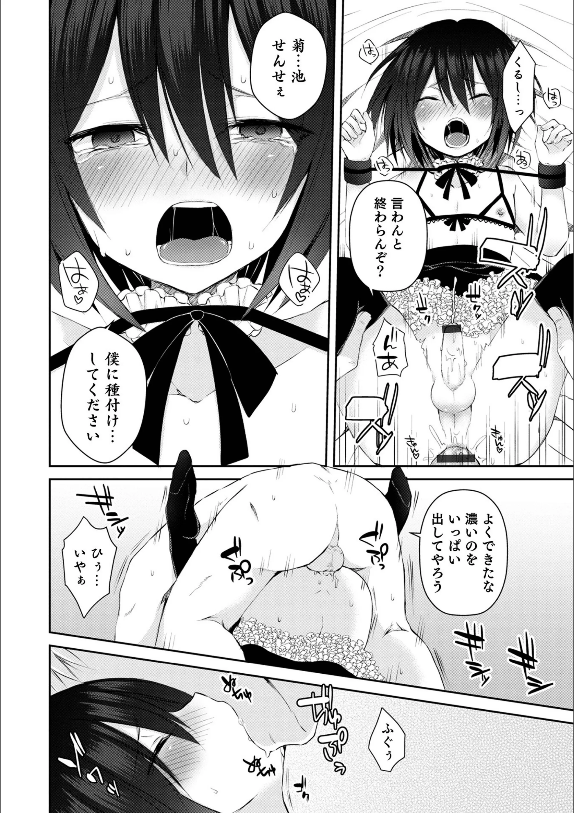 サンプル 16