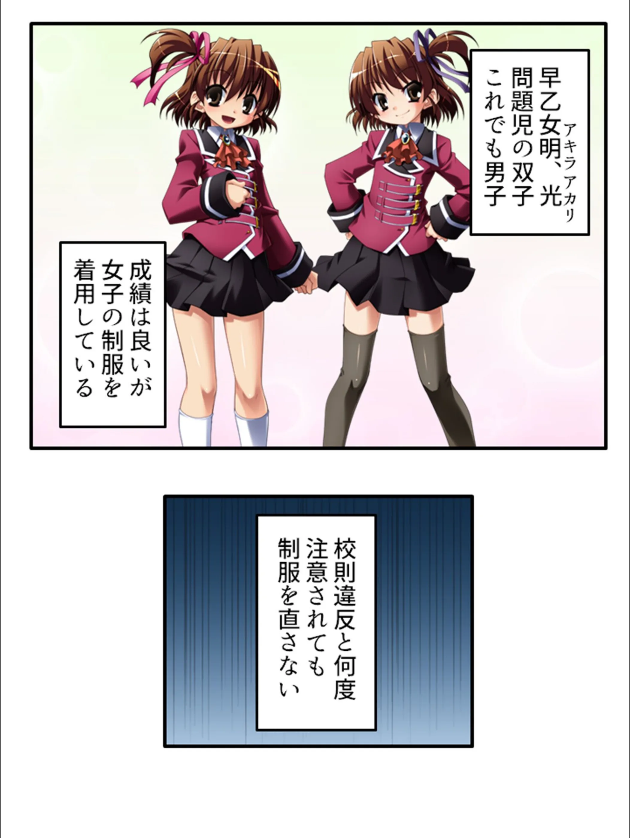 サンプル 5