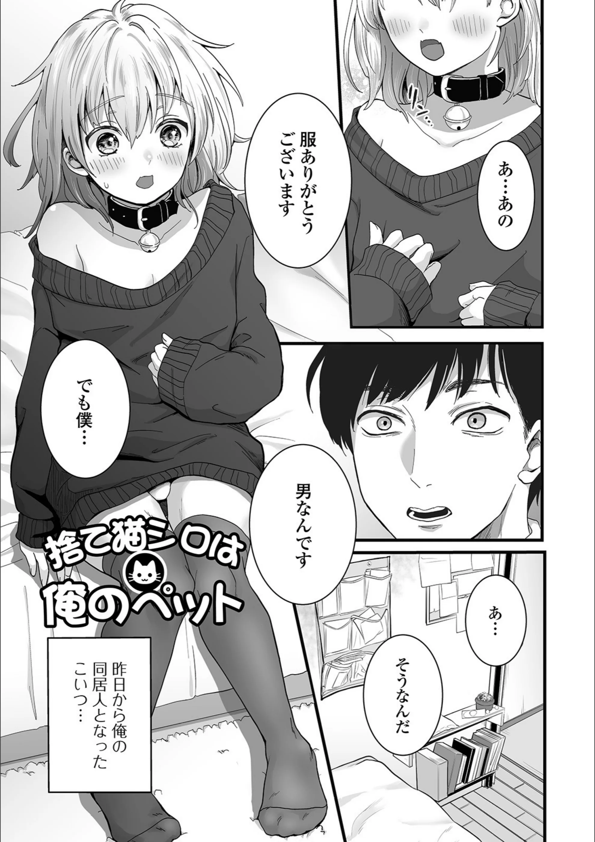 サンプル 3