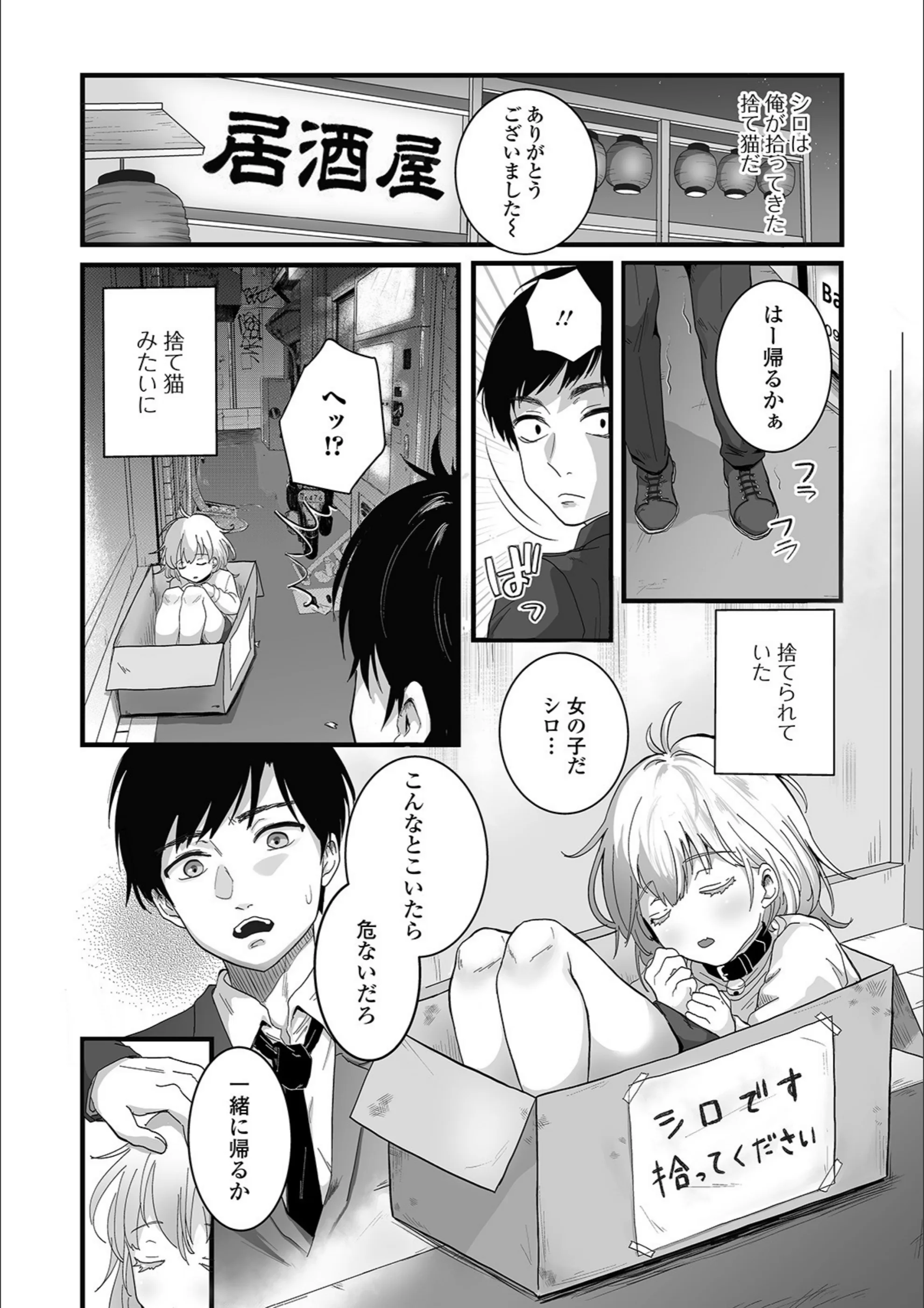 サンプル 4