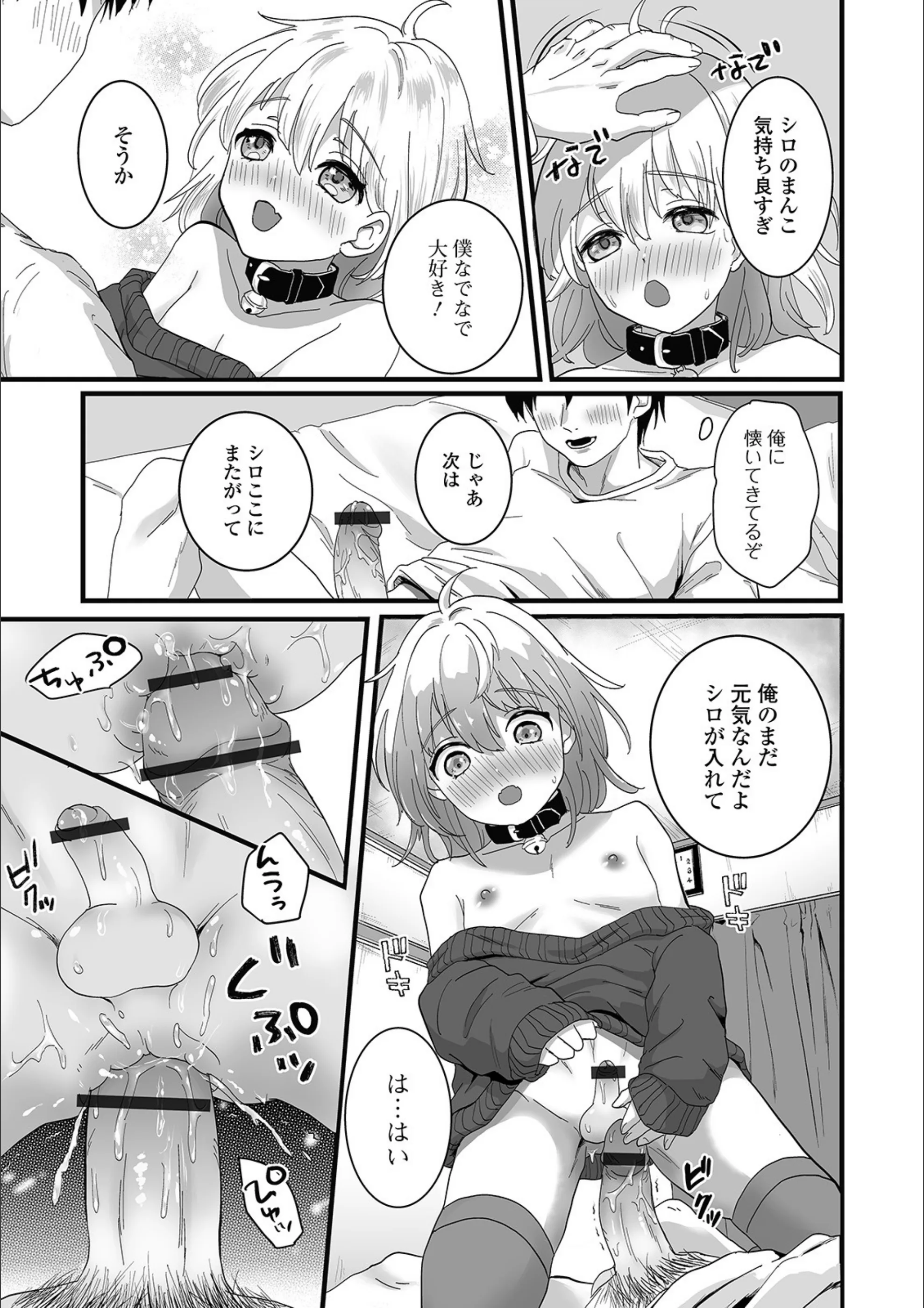 サンプル 13