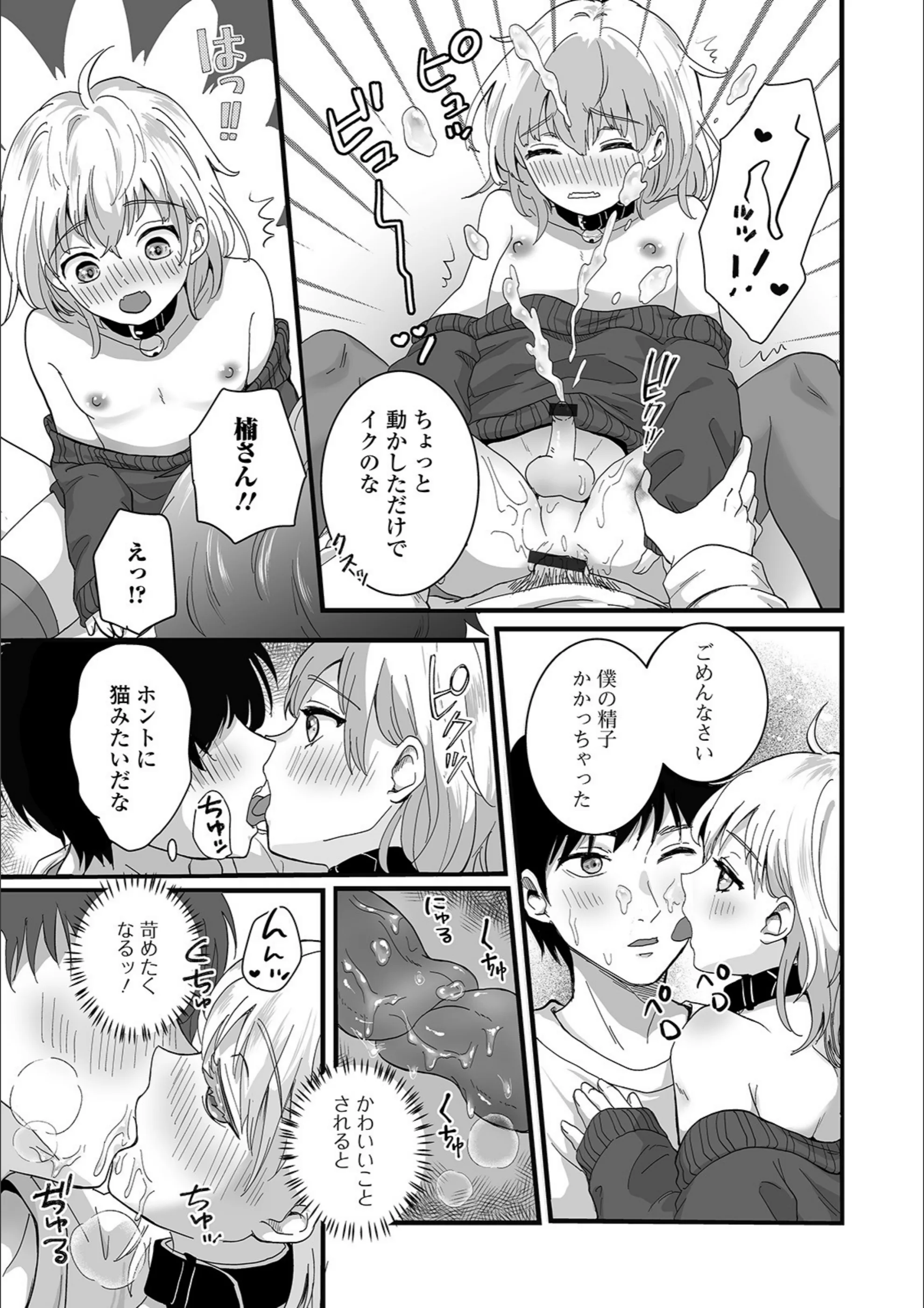 サンプル 15