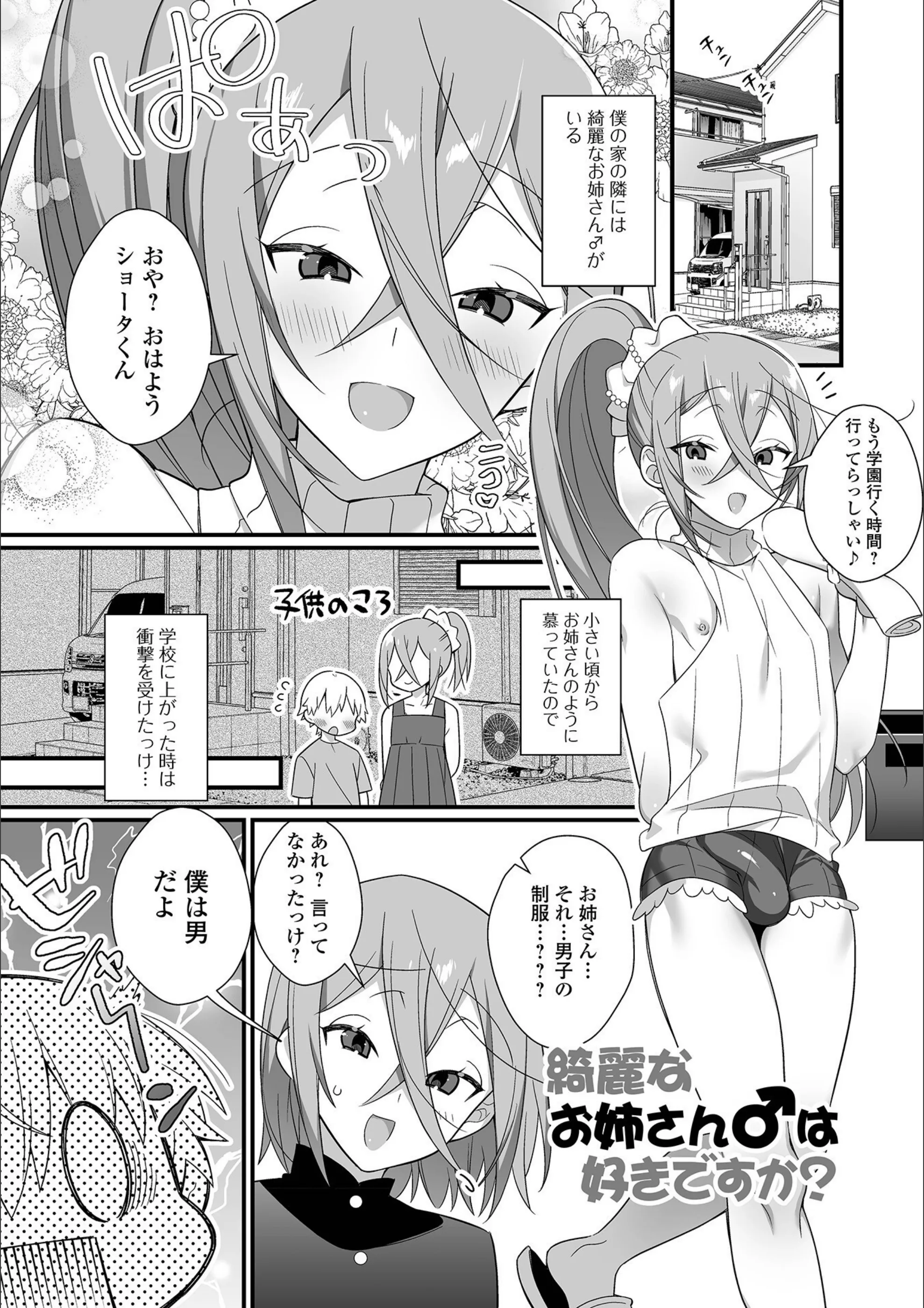 サンプル 40