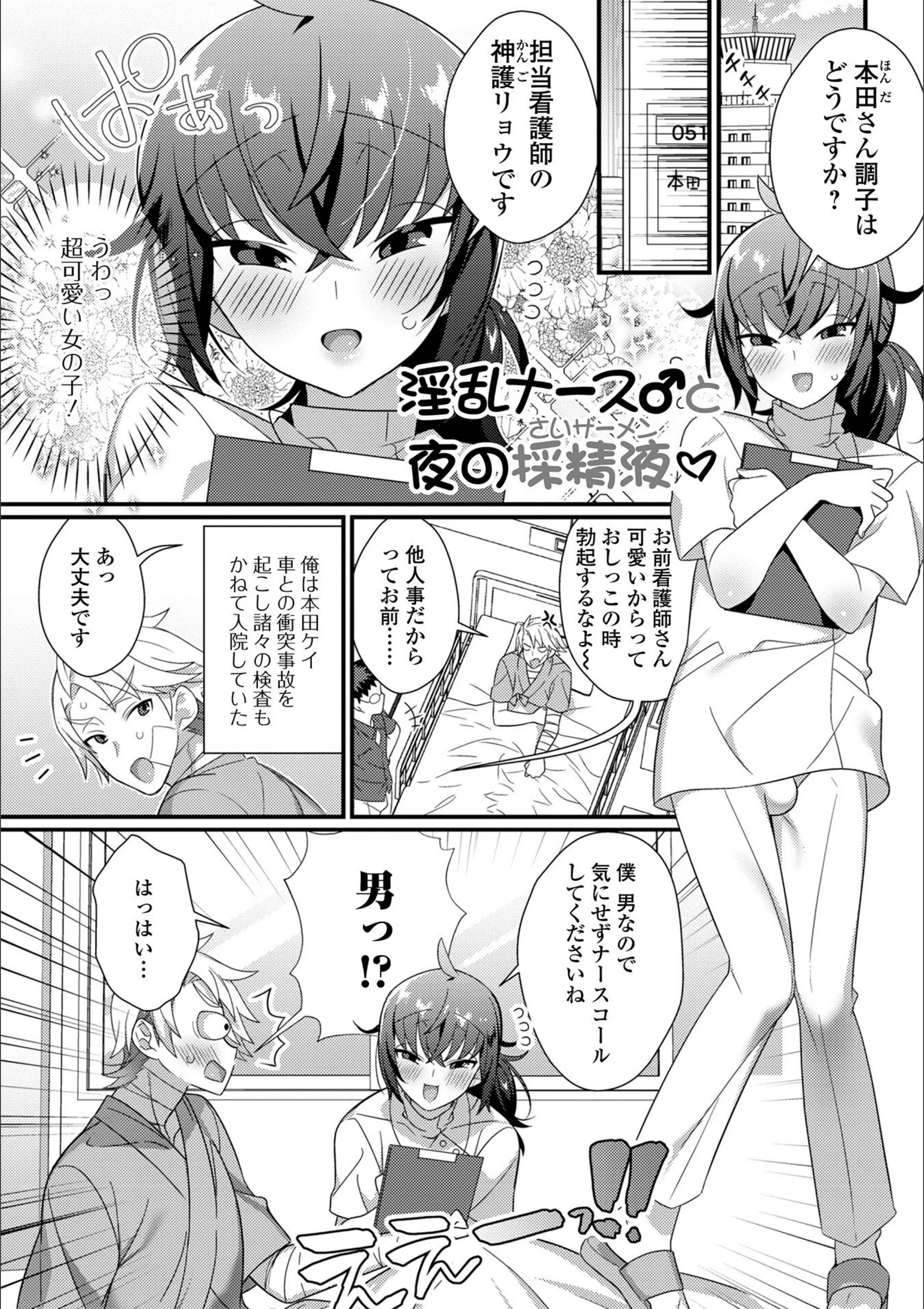 サンプル 31