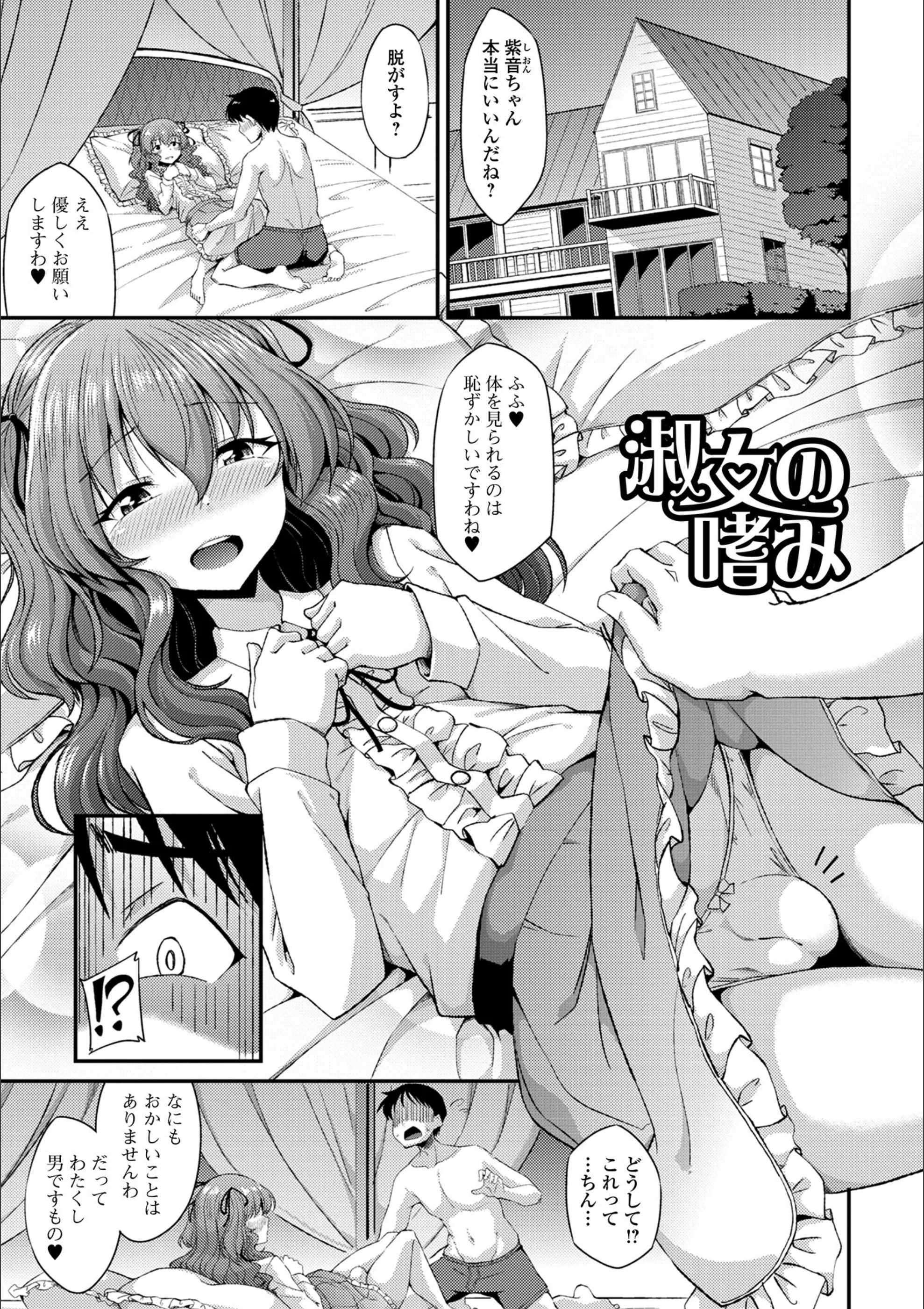 サンプル 5