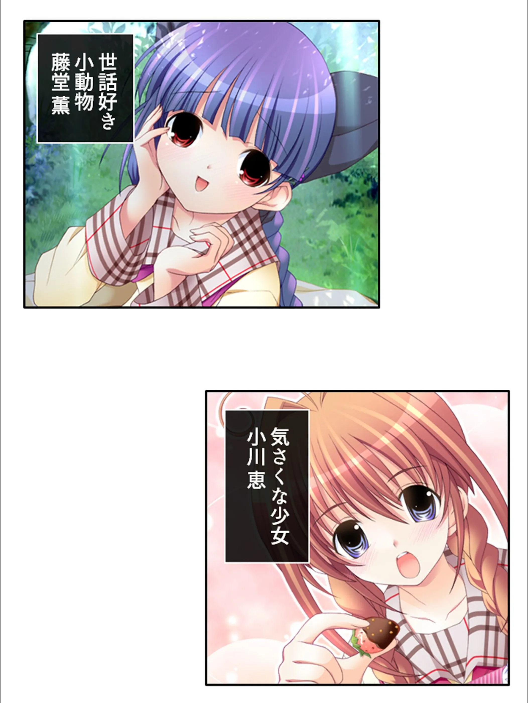 サンプル 8