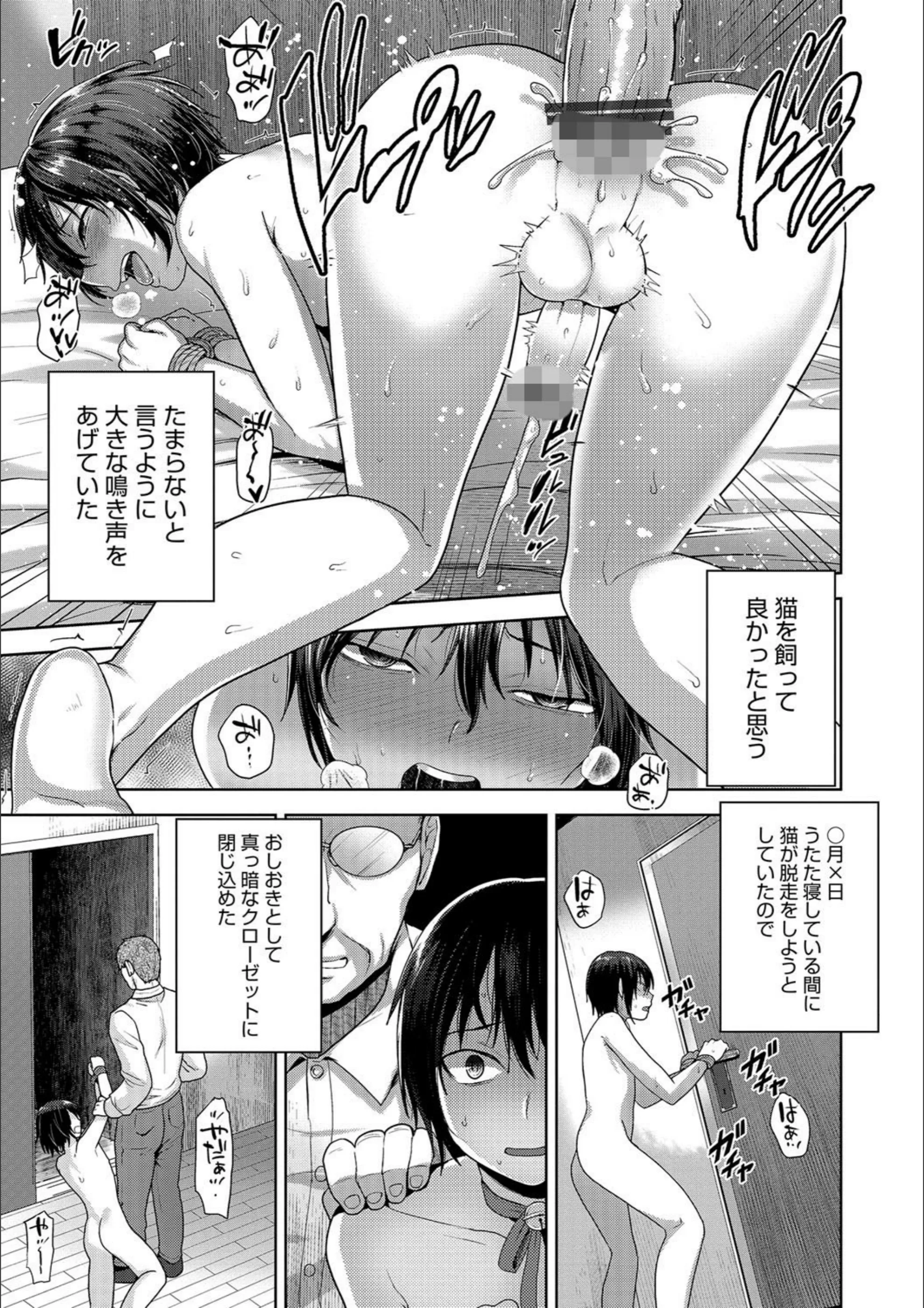 サンプル 8
