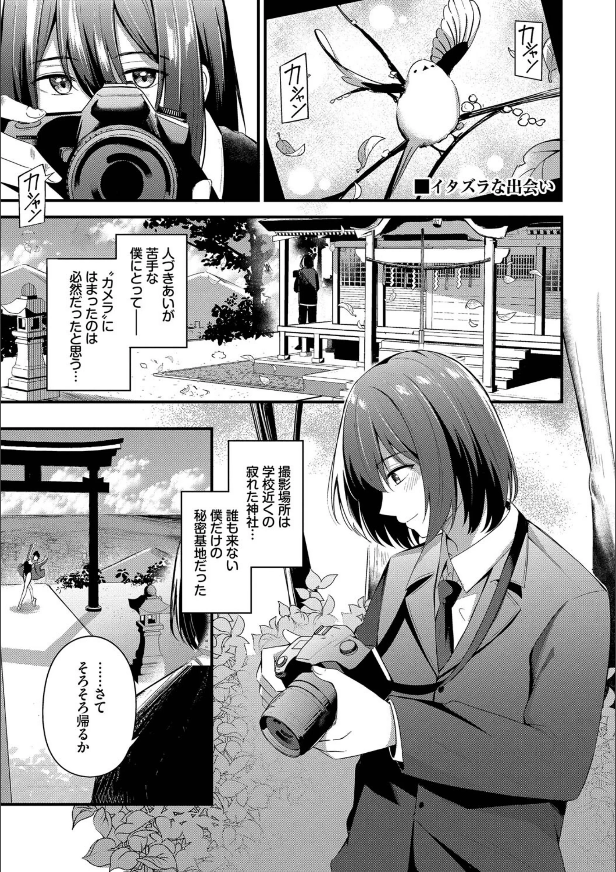 サンプル 32