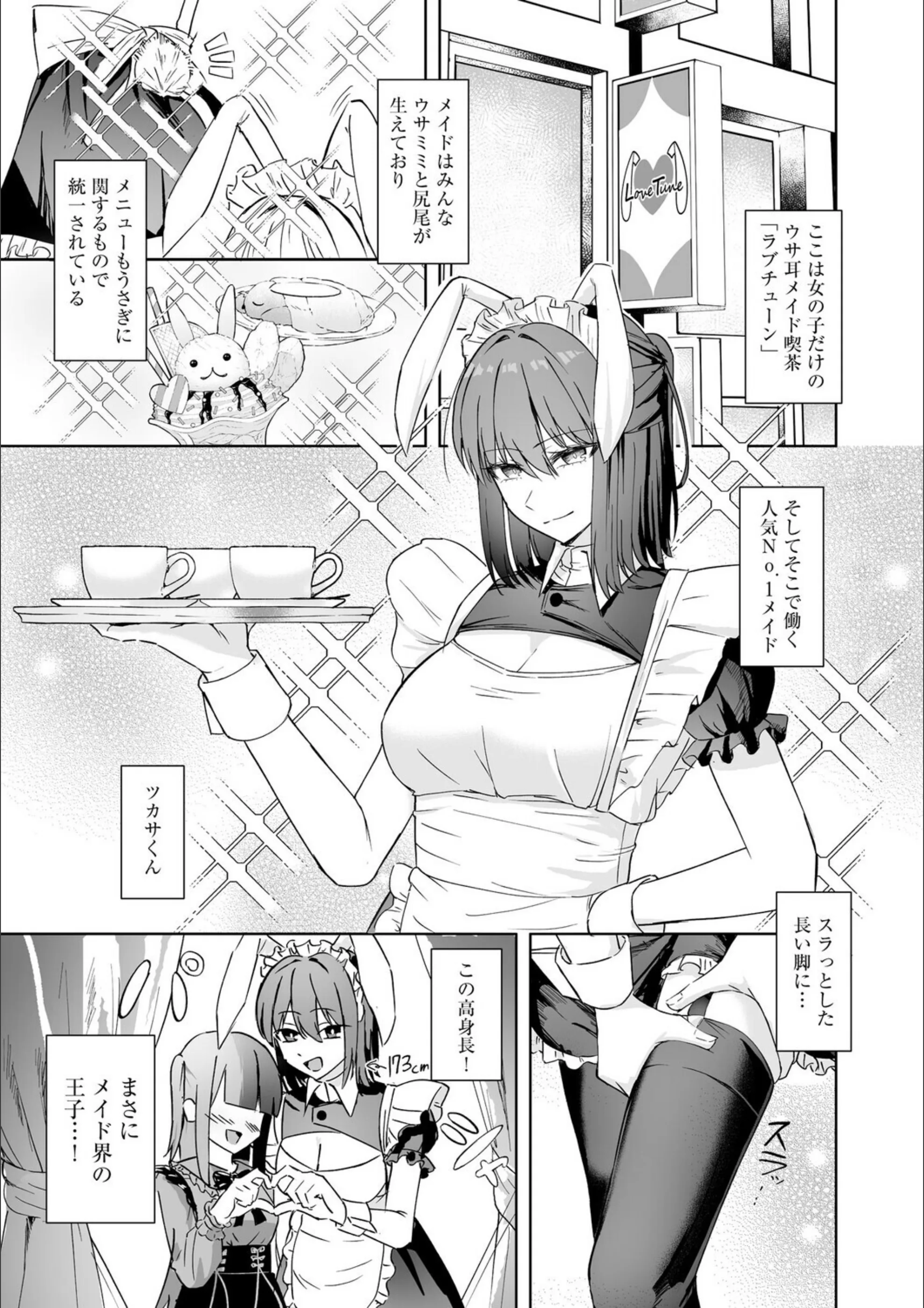 サンプル 5