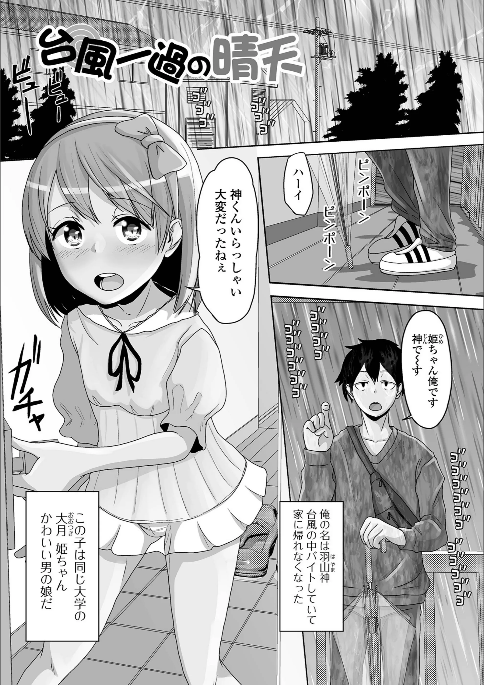 サンプル 17