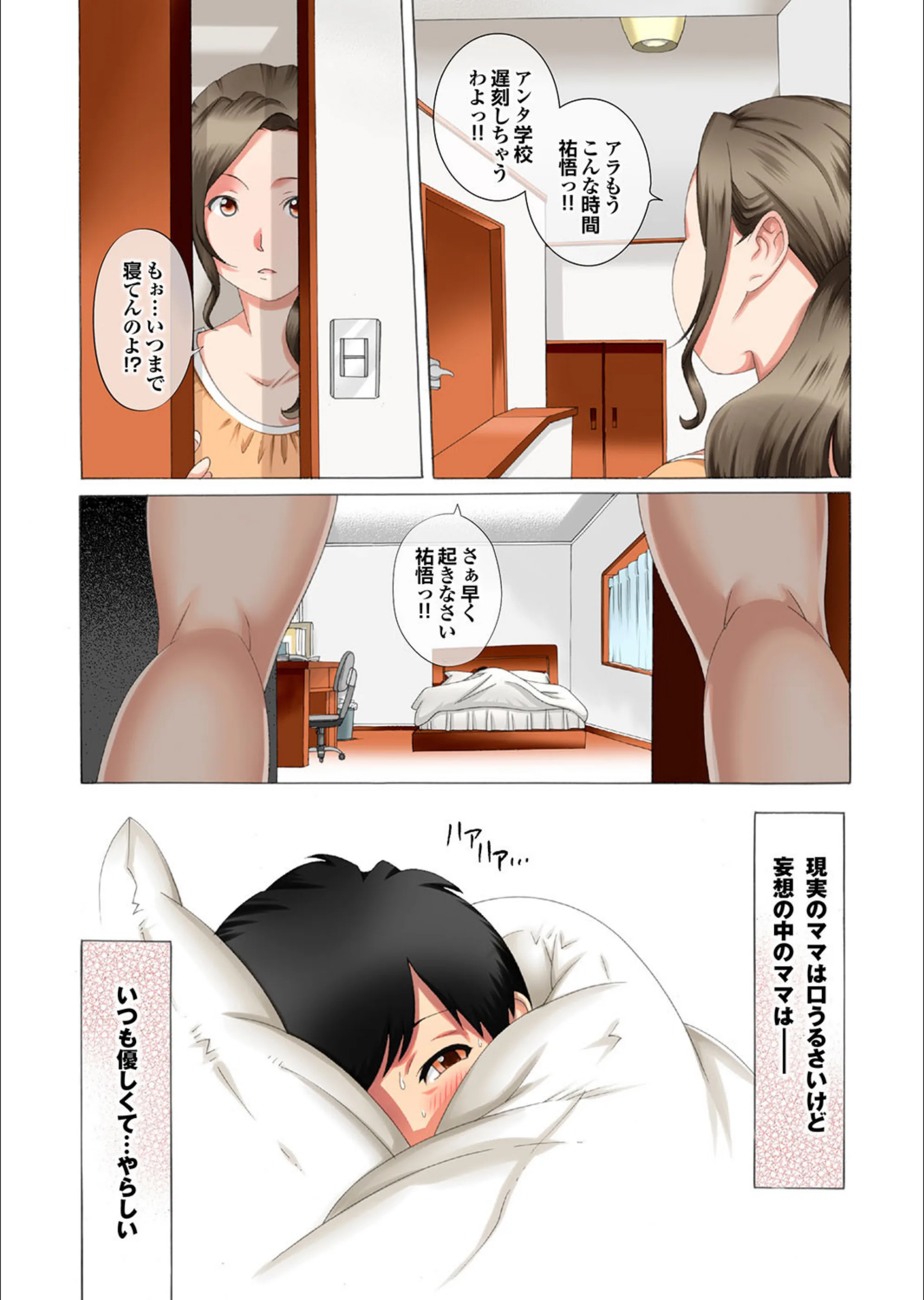 サンプル 24